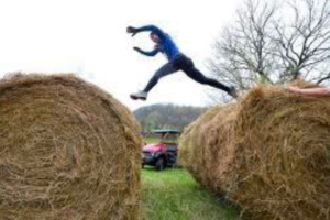 01-bhr-hay-bale 01-bhr-hay-bale